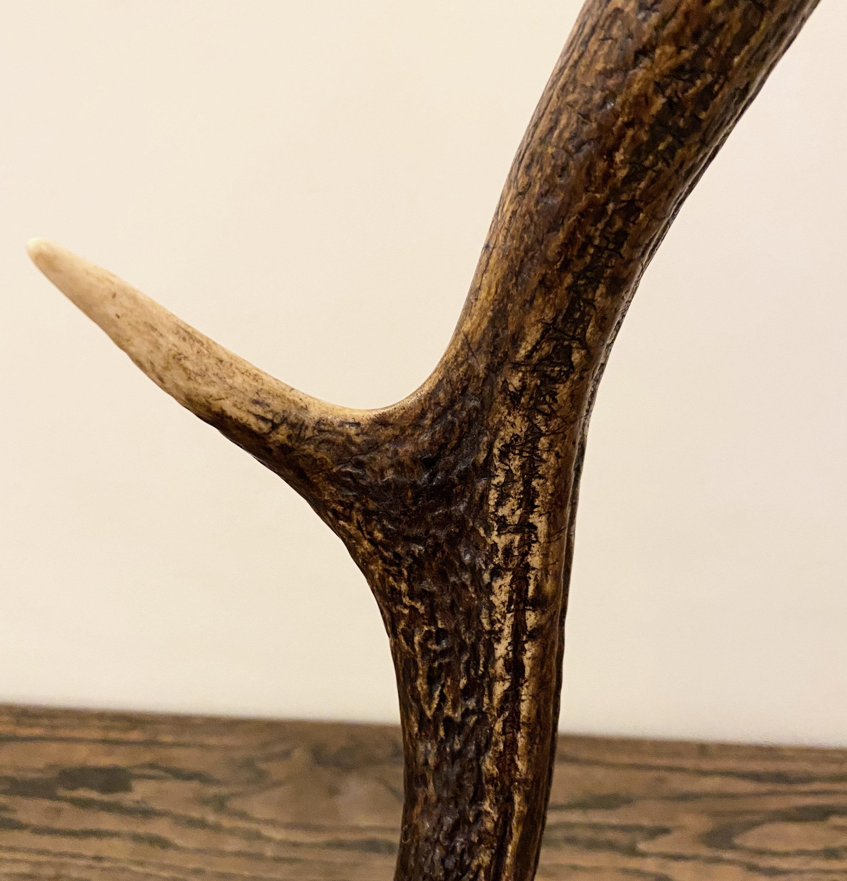 Contemporary Pair of Dark Red Deer Antler Candlesticks For Sale