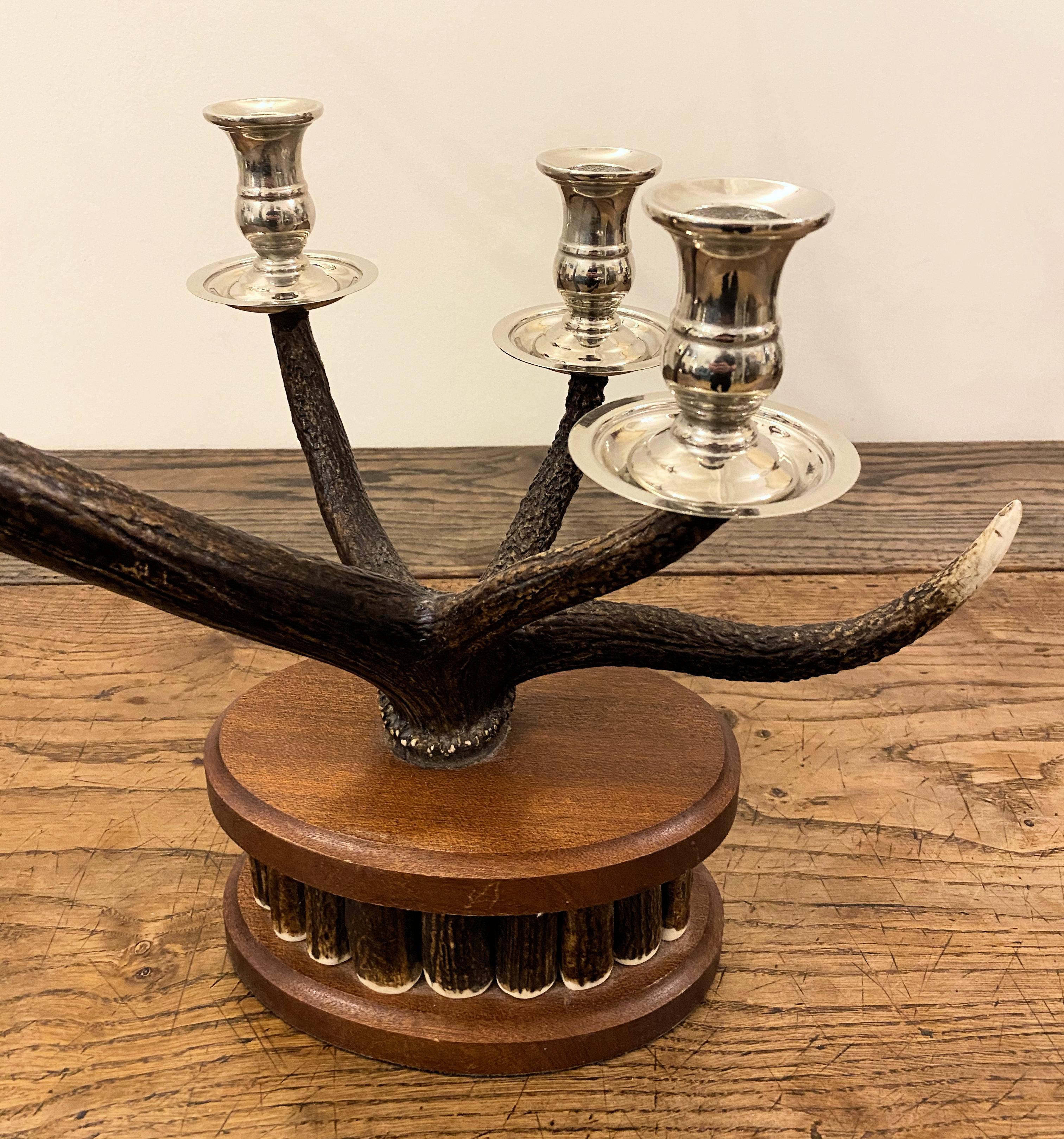 Pair of Dark Red Deer Antler Candlesticks For Sale 1