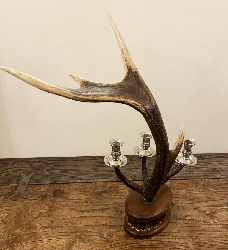 Pair of Dark Red Deer Antler Candlesticks For Sale at 1stDibs