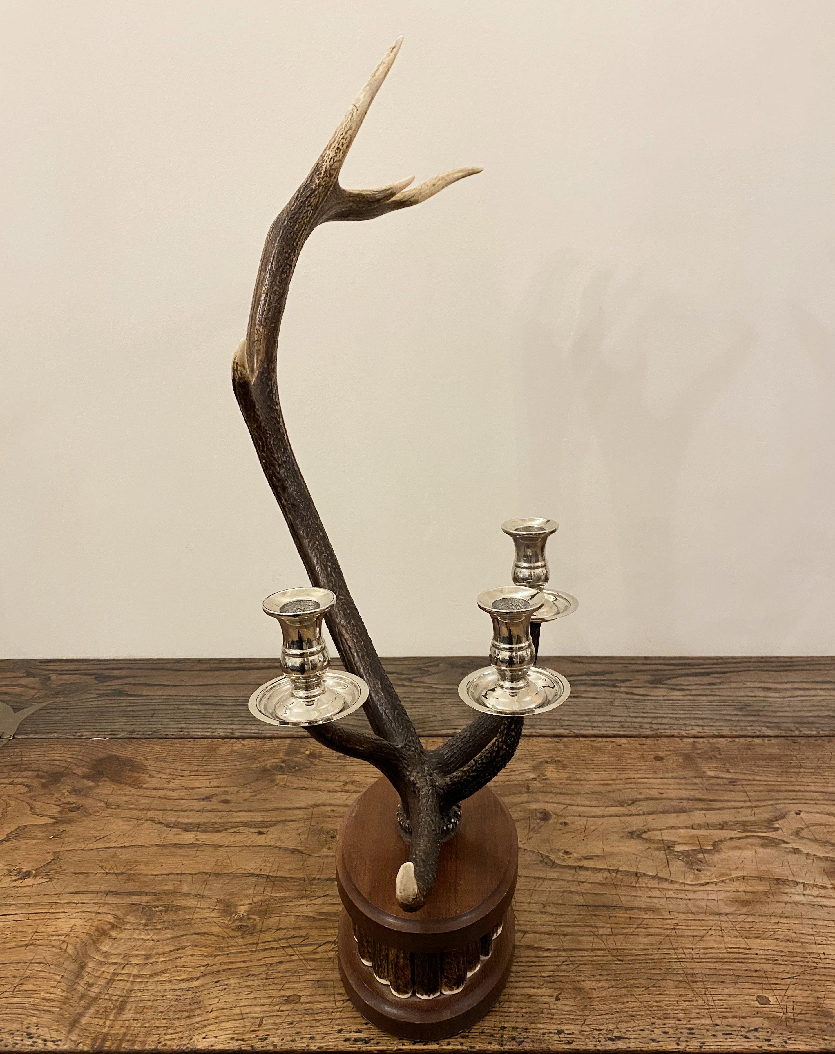 Pair of Dark Red Deer Antler Candlesticks For Sale 3