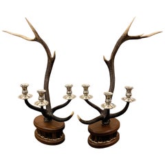 Vintage Pair of Dark Red Deer Antler Candlesticks