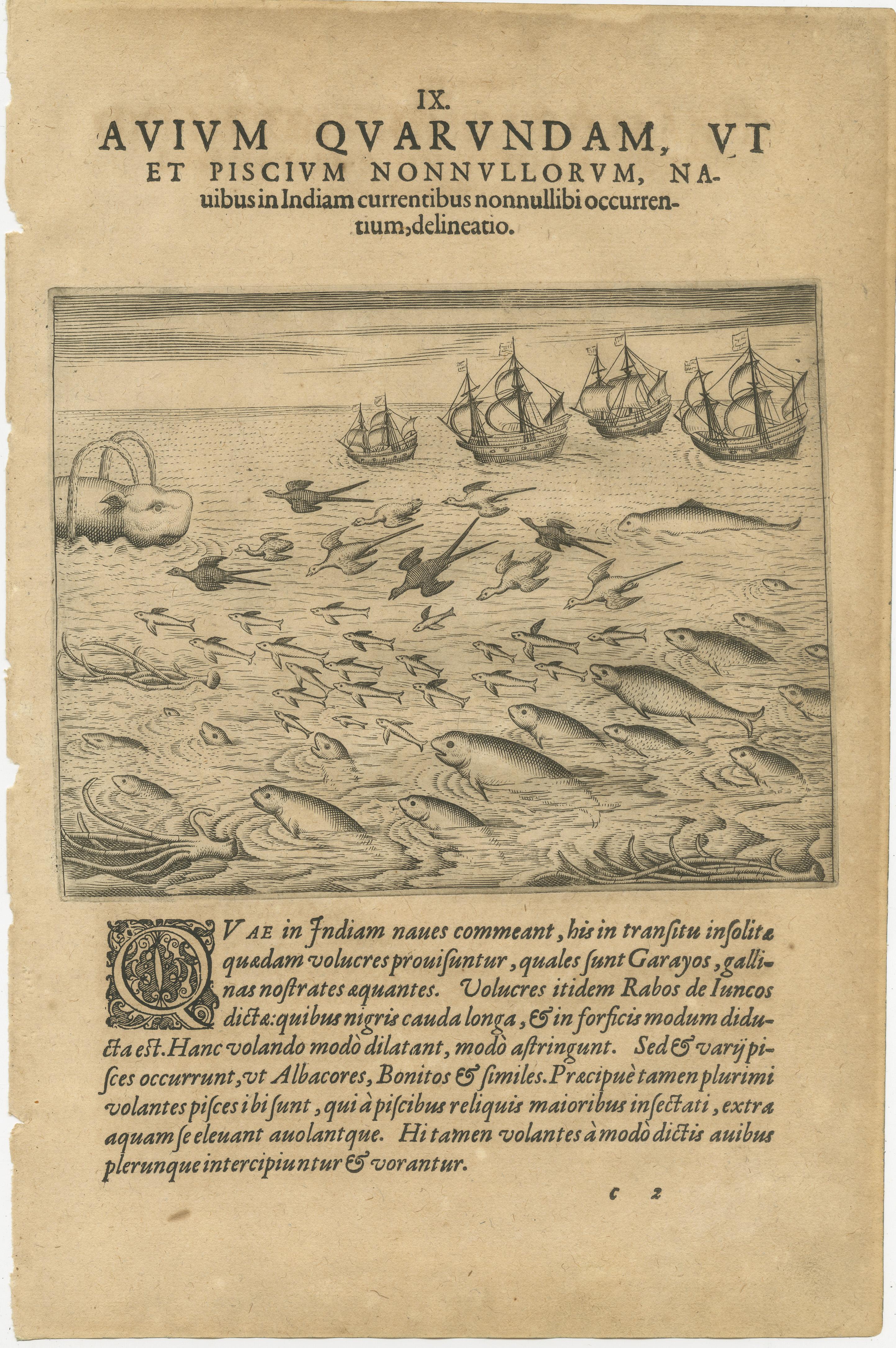 Pair of De Bry Engravings of Birds, Fish, and Sea Plants Observed en Route to India, c.1598

A fascinating pair of original copper engravings from Theodor de Bry’s Petits Voyages (Frankfurt am Main, circa 1598–1601), each accompanied by its complete