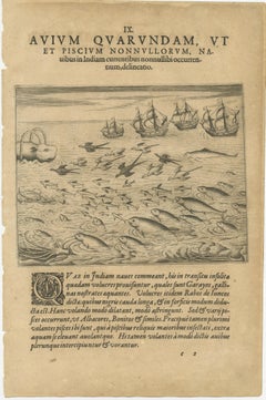 Paar De Bry Stiche von Vögeln, Fischen und Meerespflanzen auf dem Weg nach Indien, um 1598