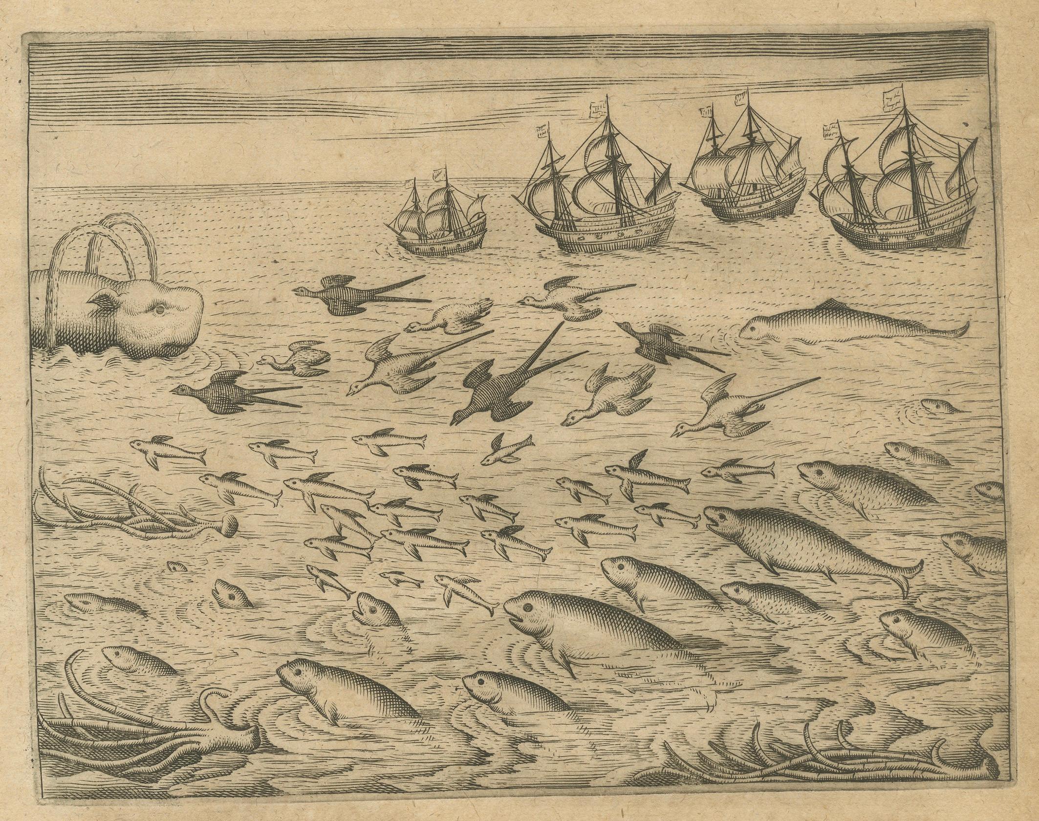 Pair of De Bry Engravings of Birds, Fish & Sea Plants en Route to India, c.1598 In Good Condition For Sale In Langweer, NL