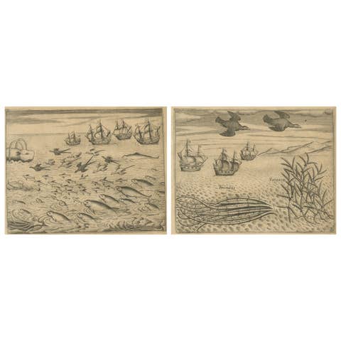 Pair of De Bry Engravings of Birds, Fish & Sea Plants en Route to India, c.1598