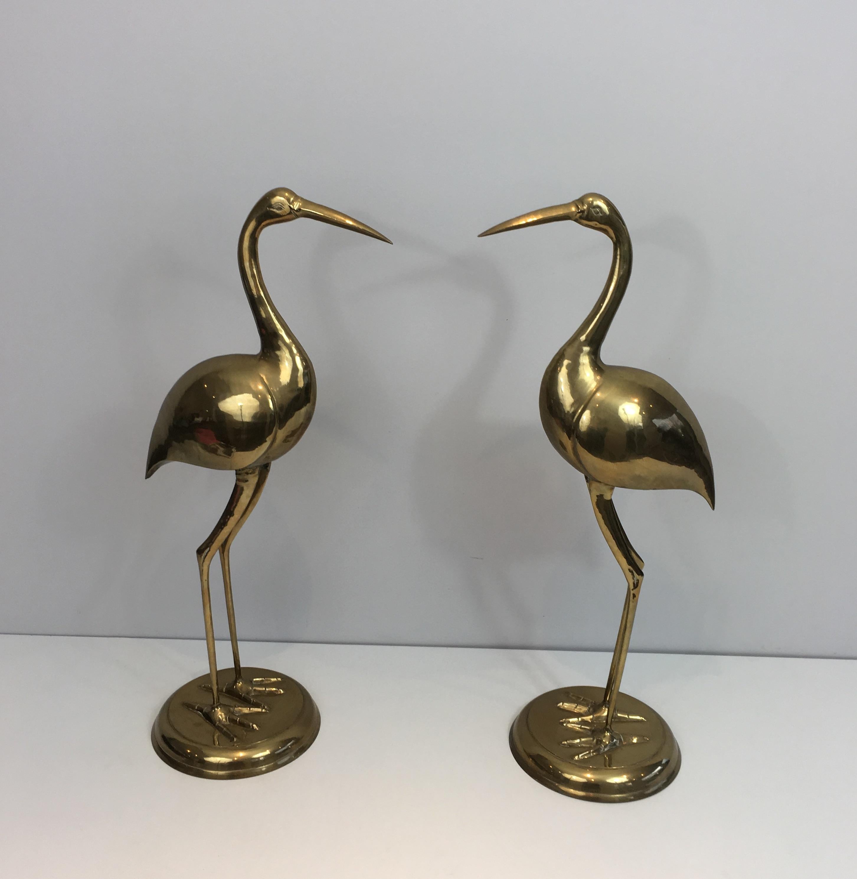 This pair of brass Ibis on wooden stands is very decorative. They can be used on stand or without. This is a French work, circa 1970.
