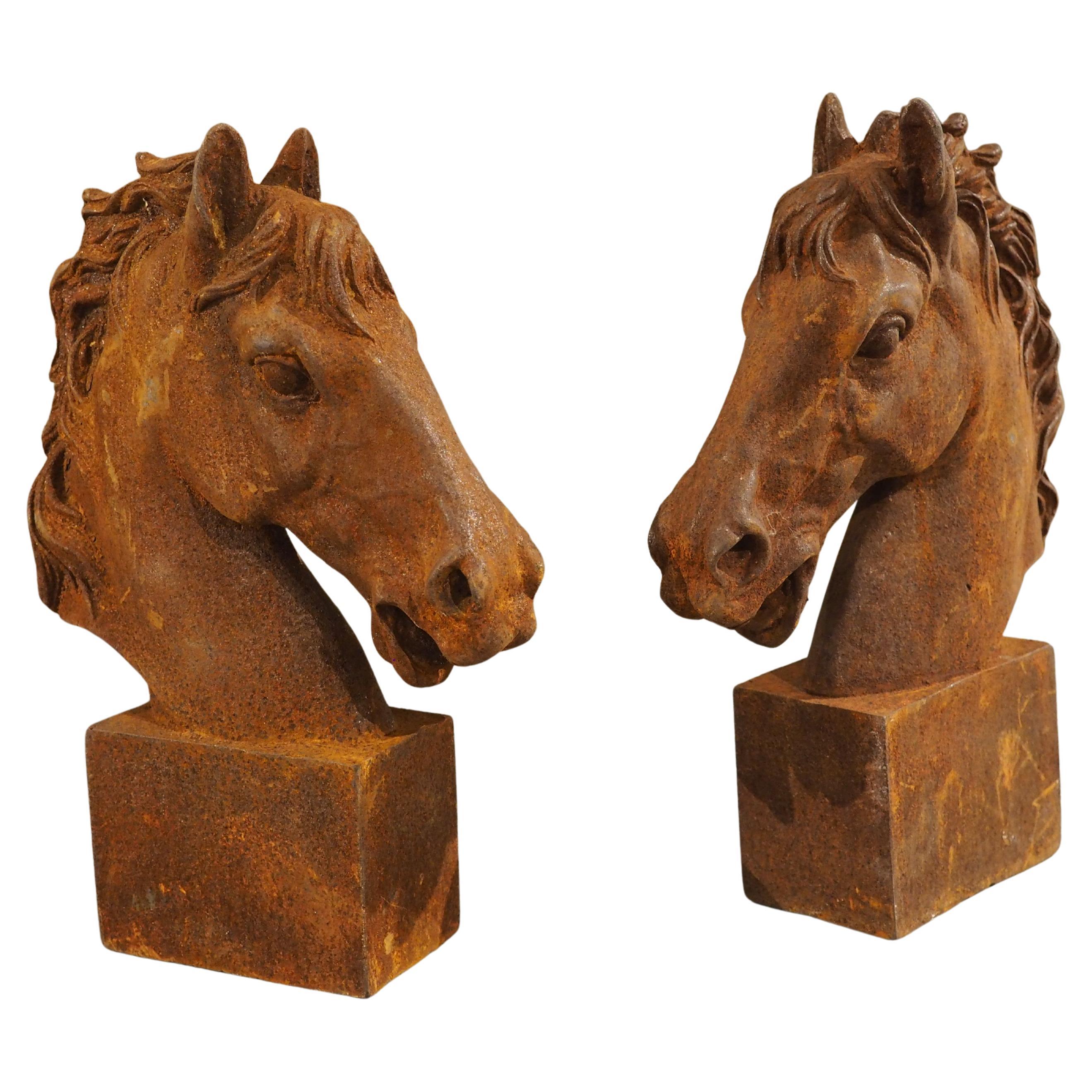 Pareja de bustos decorativos de caballos franceses de hierro fundido, Siglo XX