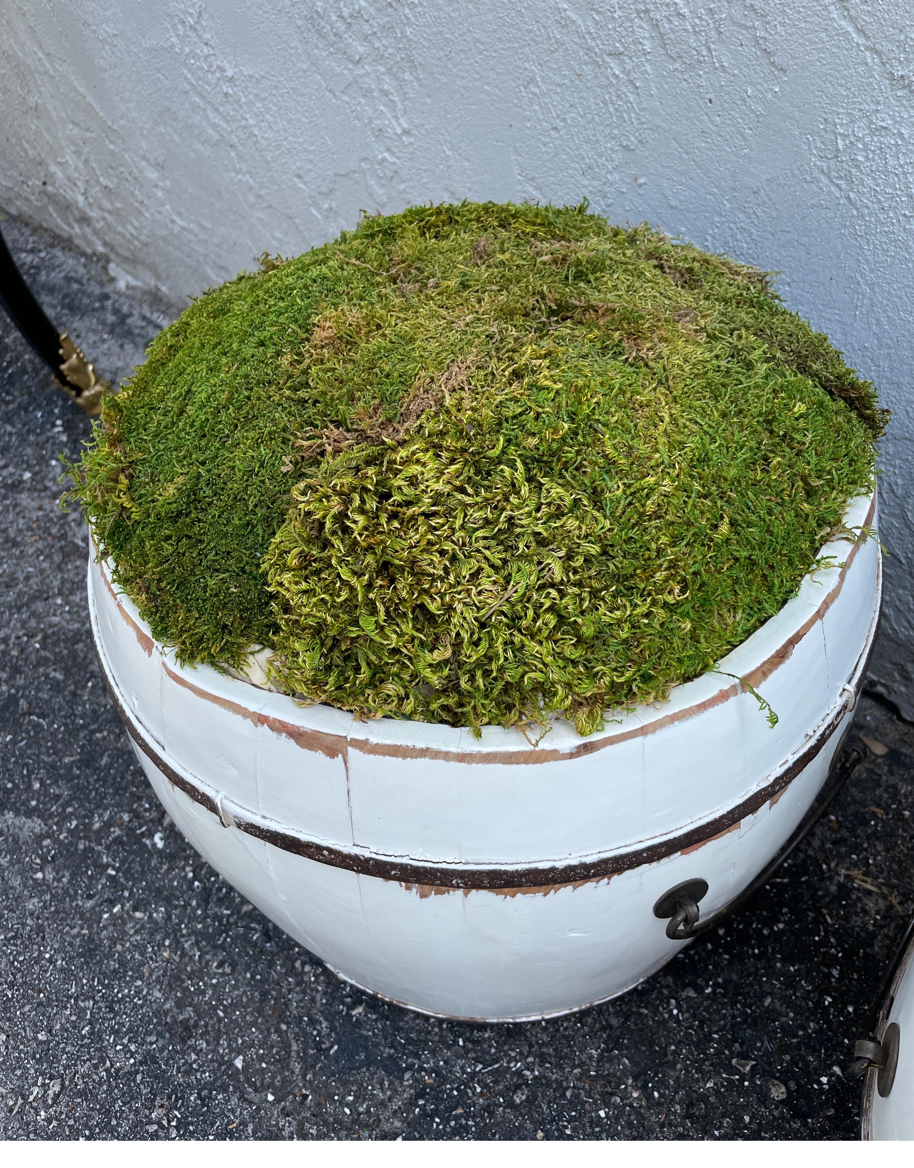 Français Paire de jardinières décoratives en forme de tonneau en bois peint, garnies de mousse en vente