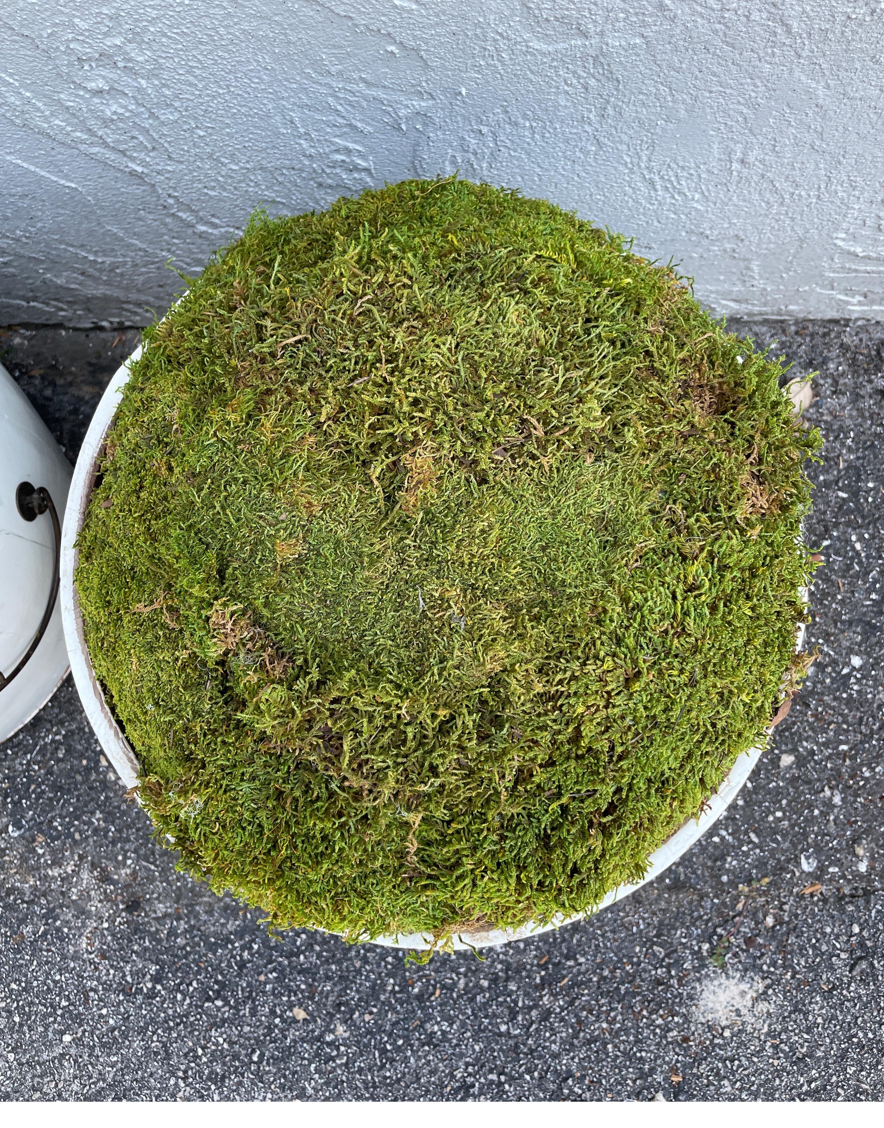 20ième siècle Paire de jardinières décoratives en forme de tonneau en bois peint, garnies de mousse en vente