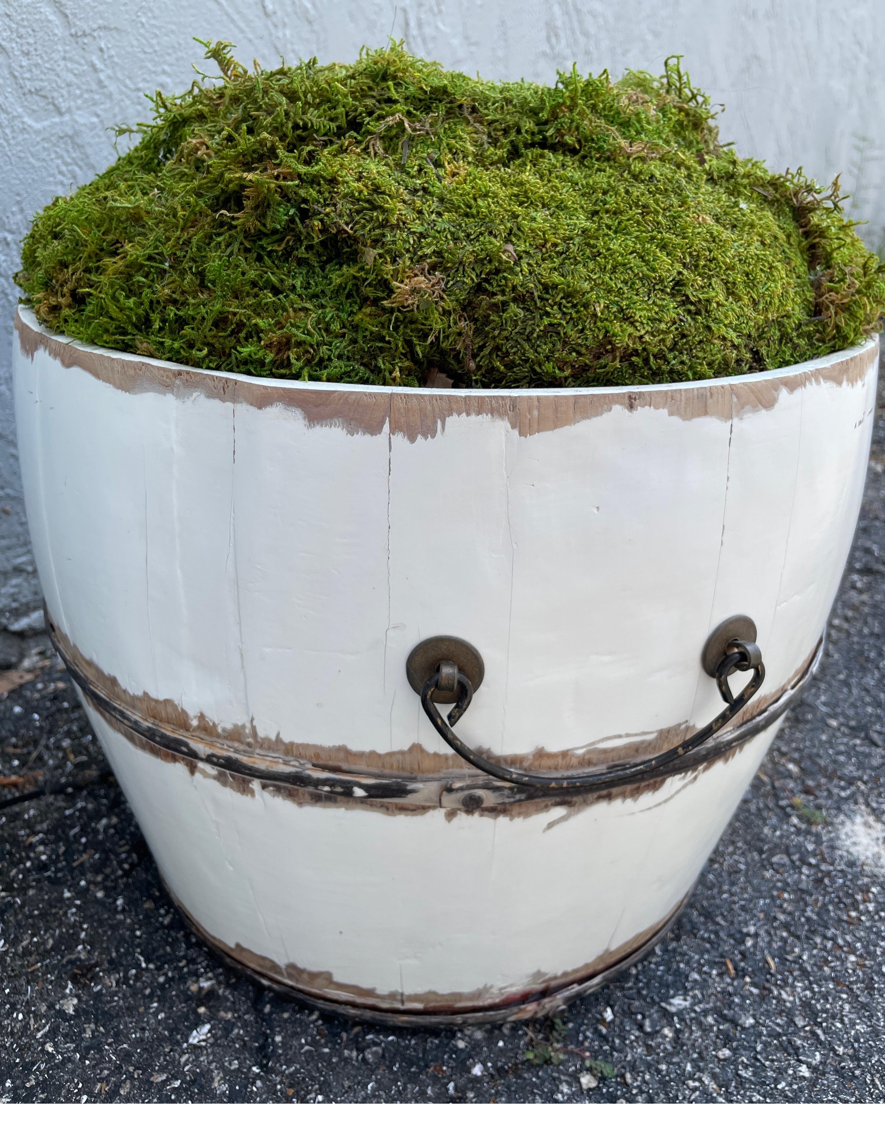 Paire de jardinières décoratives en forme de tonneau en bois peint, garnies de mousse en vente 1