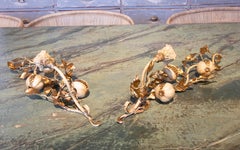 Pair of Decorative Iron Sconces with Leafy Plants and Pomegranates