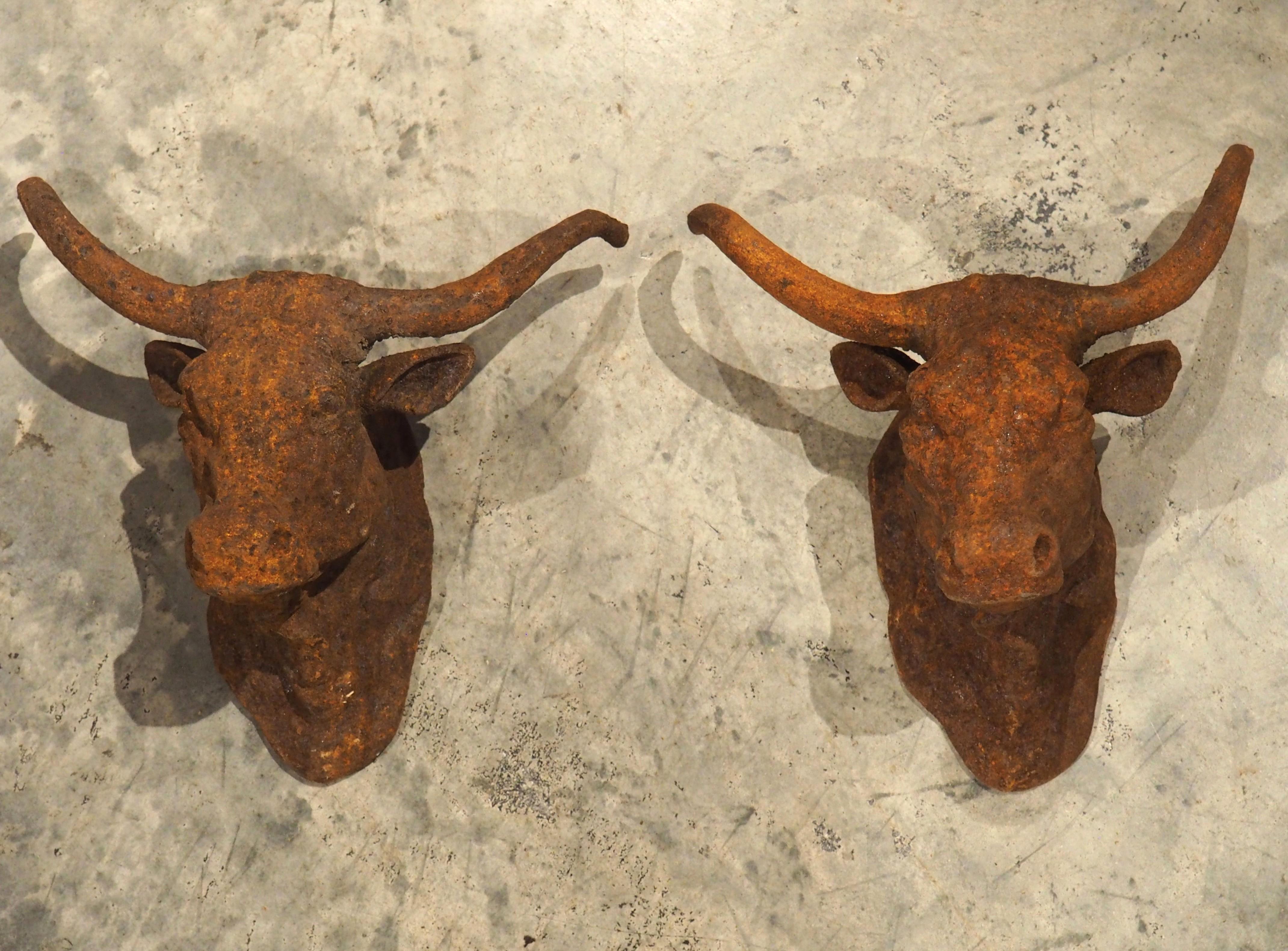 Coppia di teste di toro decorative in ghisa arrugginita d'epoca provenienti dalla Francia in vendita 4