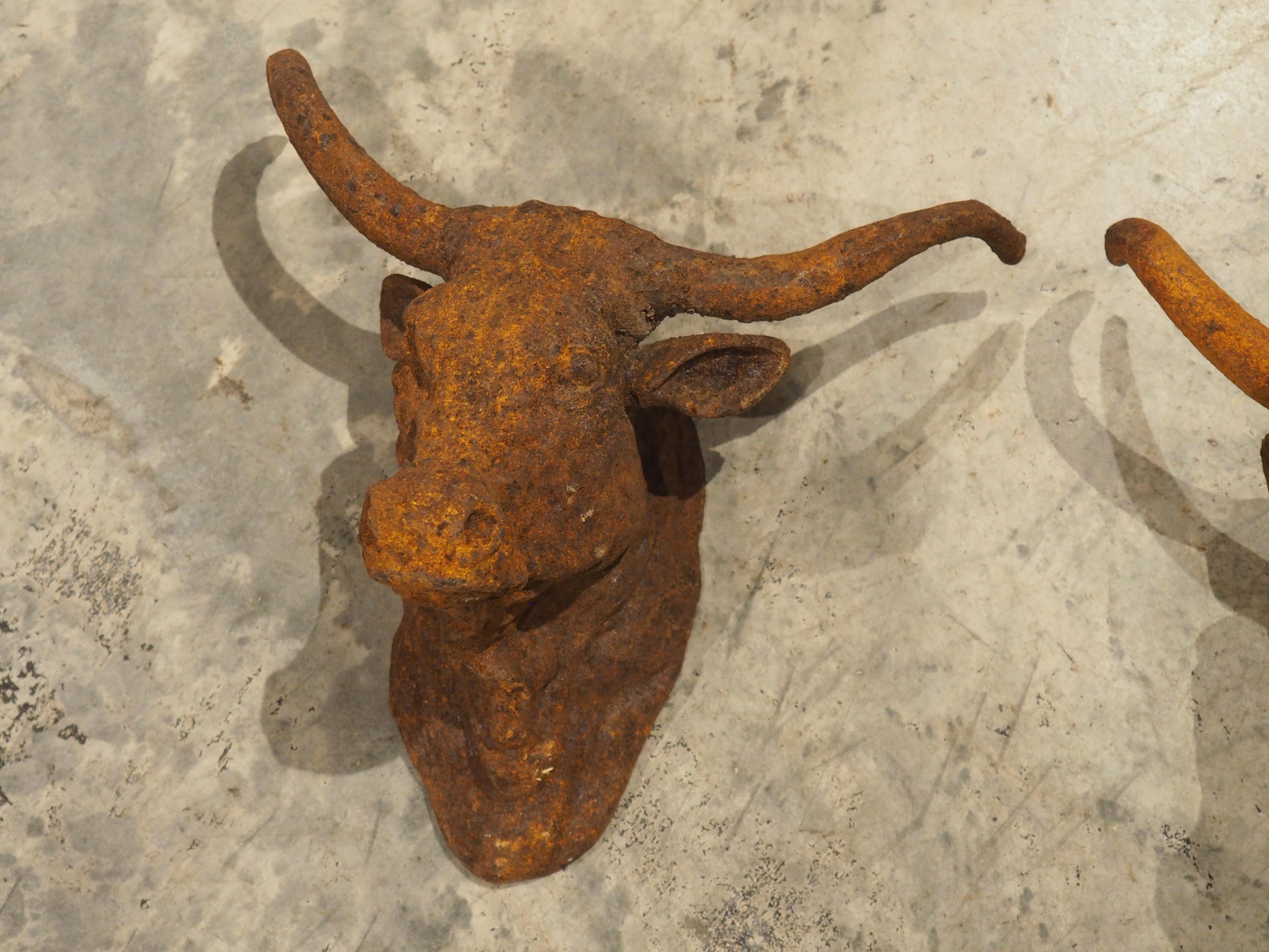 Francese Coppia di teste di toro decorative in ghisa arrugginita d'epoca provenienti dalla Francia in vendita
