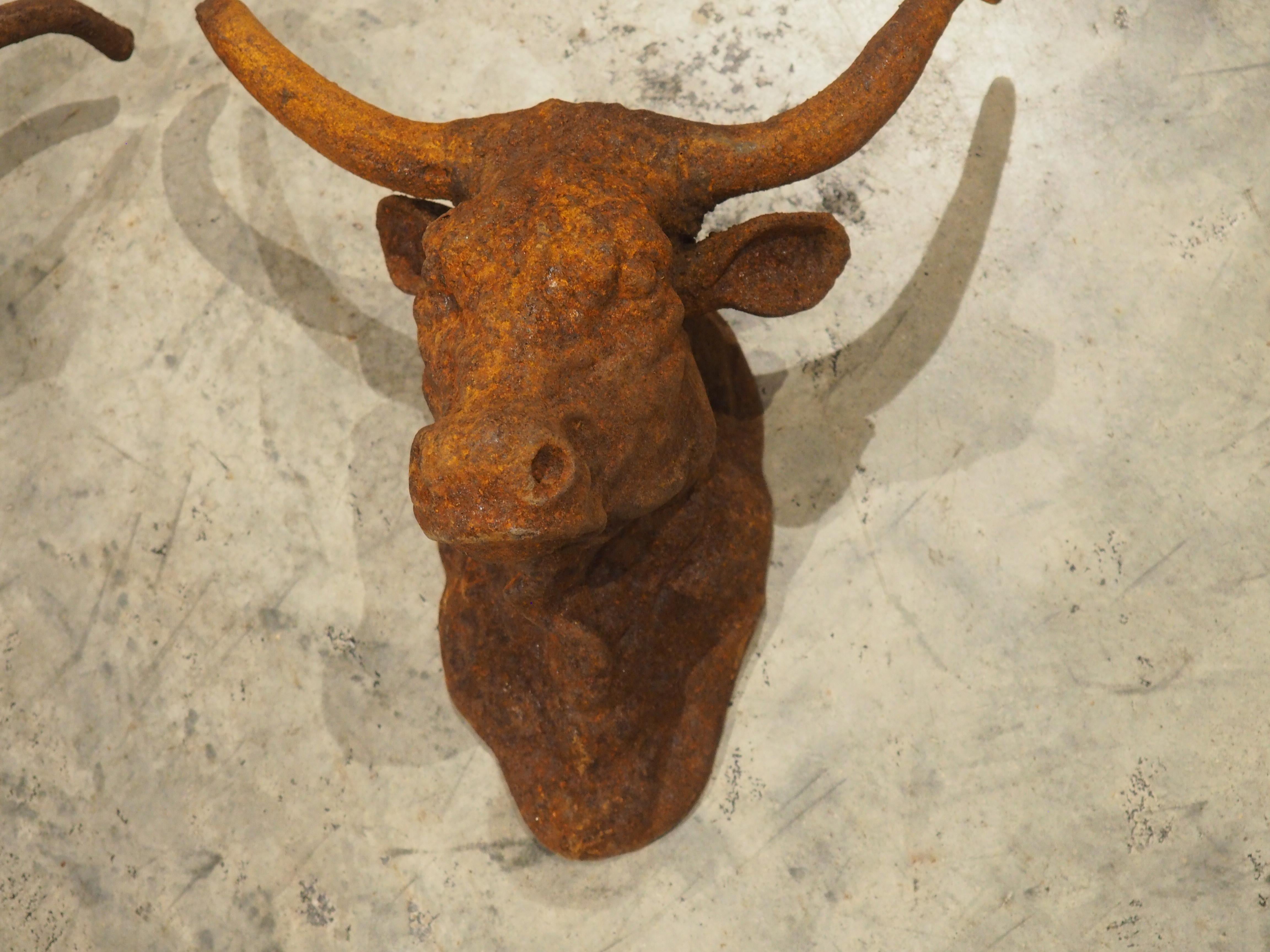Calco Coppia di teste di toro decorative in ghisa arrugginita d'epoca provenienti dalla Francia in vendita