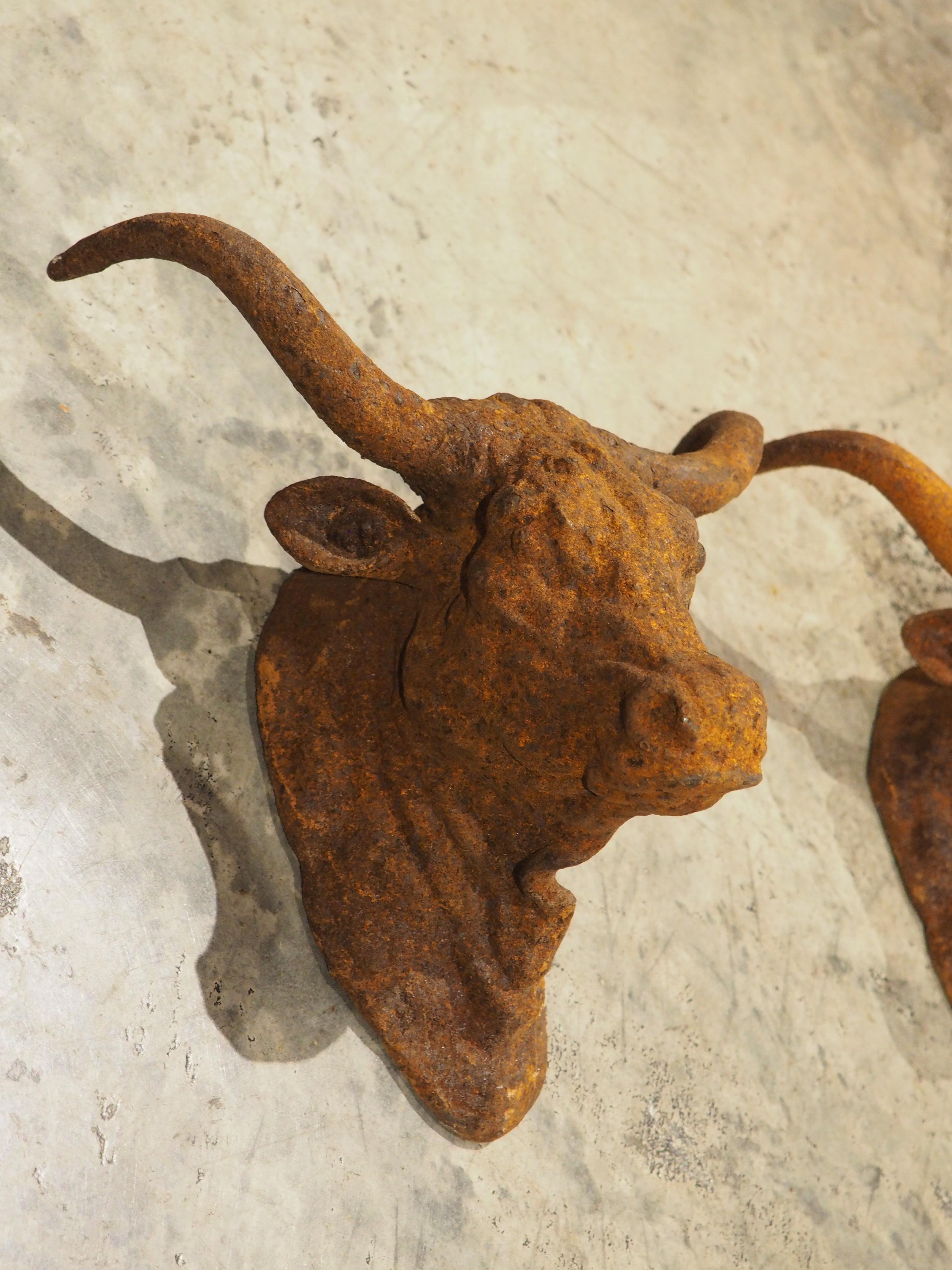 Coppia di teste di toro decorative in ghisa arrugginita d'epoca provenienti dalla Francia In condizioni buone in vendita a Dallas, TX