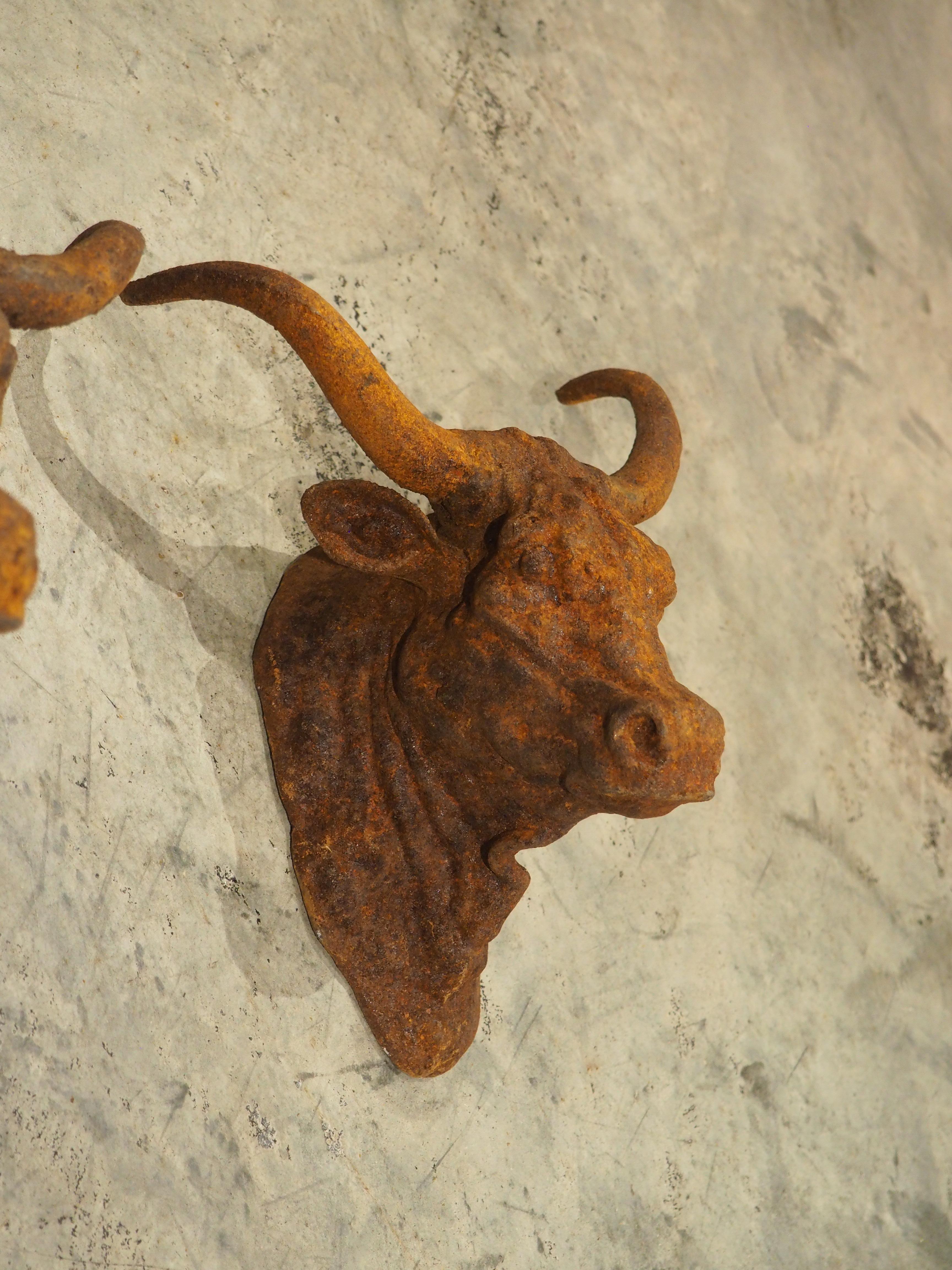 XXI secolo e contemporaneo Coppia di teste di toro decorative in ghisa arrugginita d'epoca provenienti dalla Francia in vendita