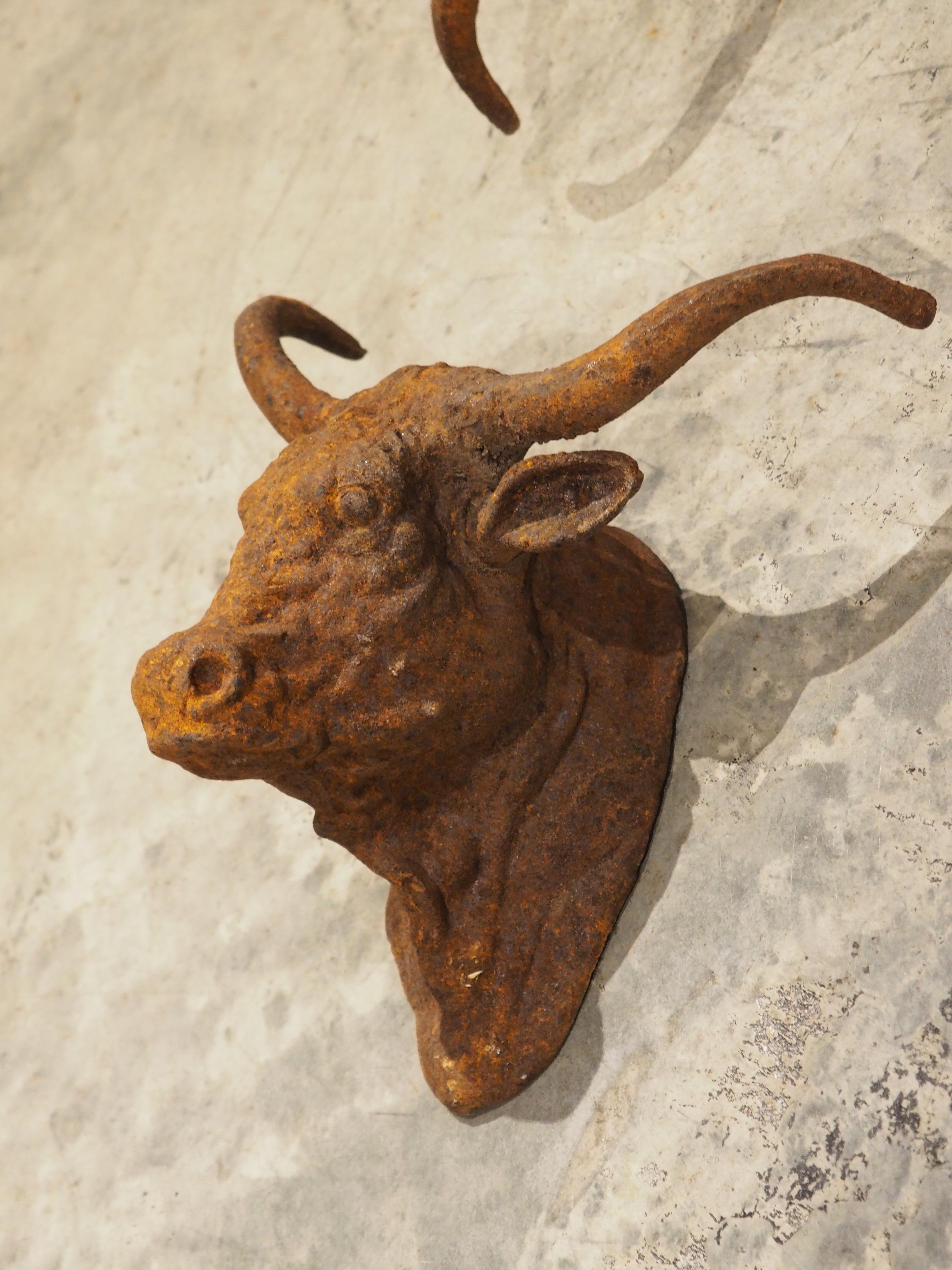 Metallo Coppia di teste di toro decorative in ghisa arrugginita d'epoca provenienti dalla Francia in vendita