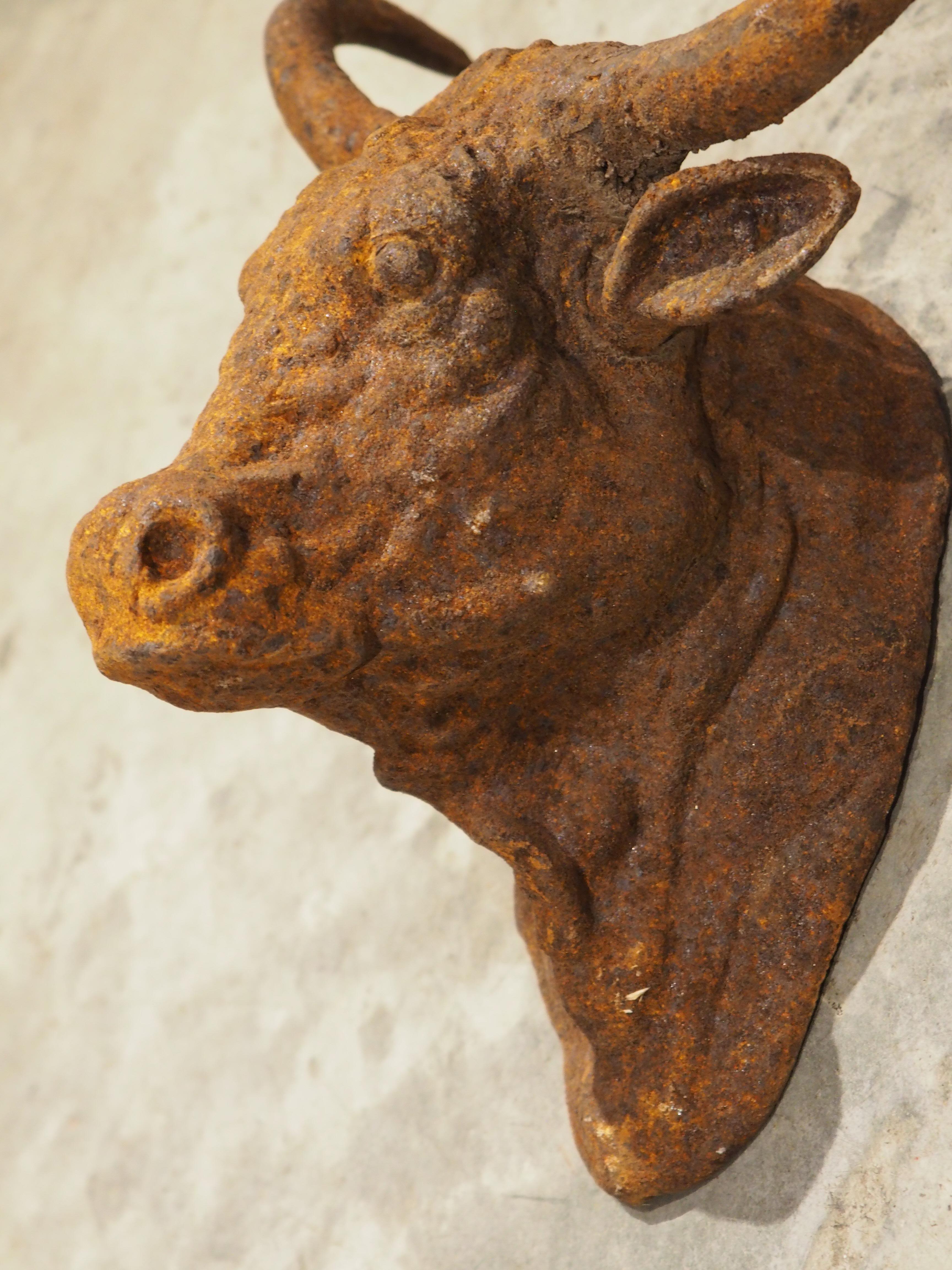 Coppia di teste di toro decorative in ghisa arrugginita d'epoca provenienti dalla Francia in vendita 2
