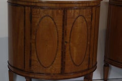Pair of Demilune Console Cabinets