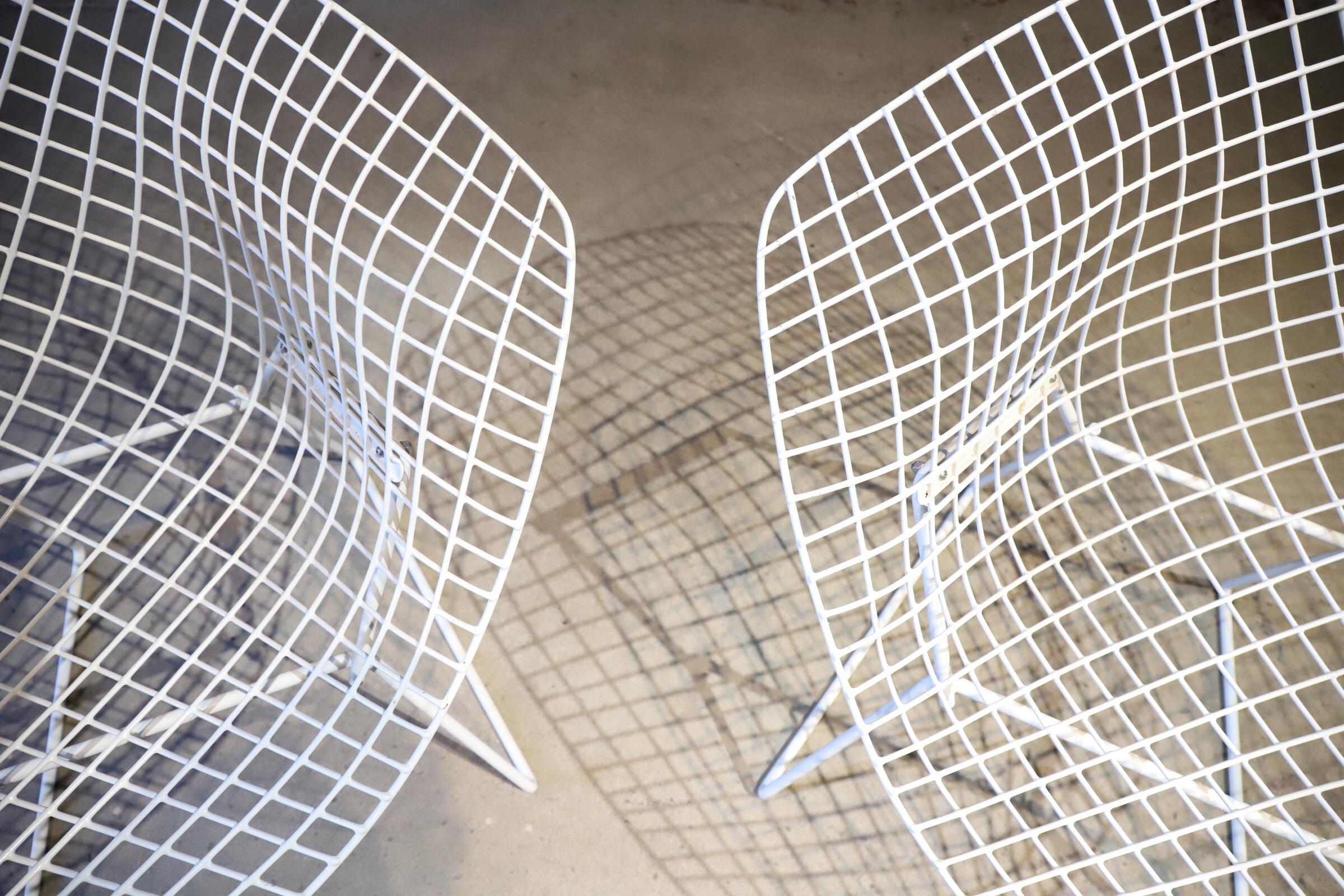 Pair of Diamond Chairs by Harry Bertoia 9