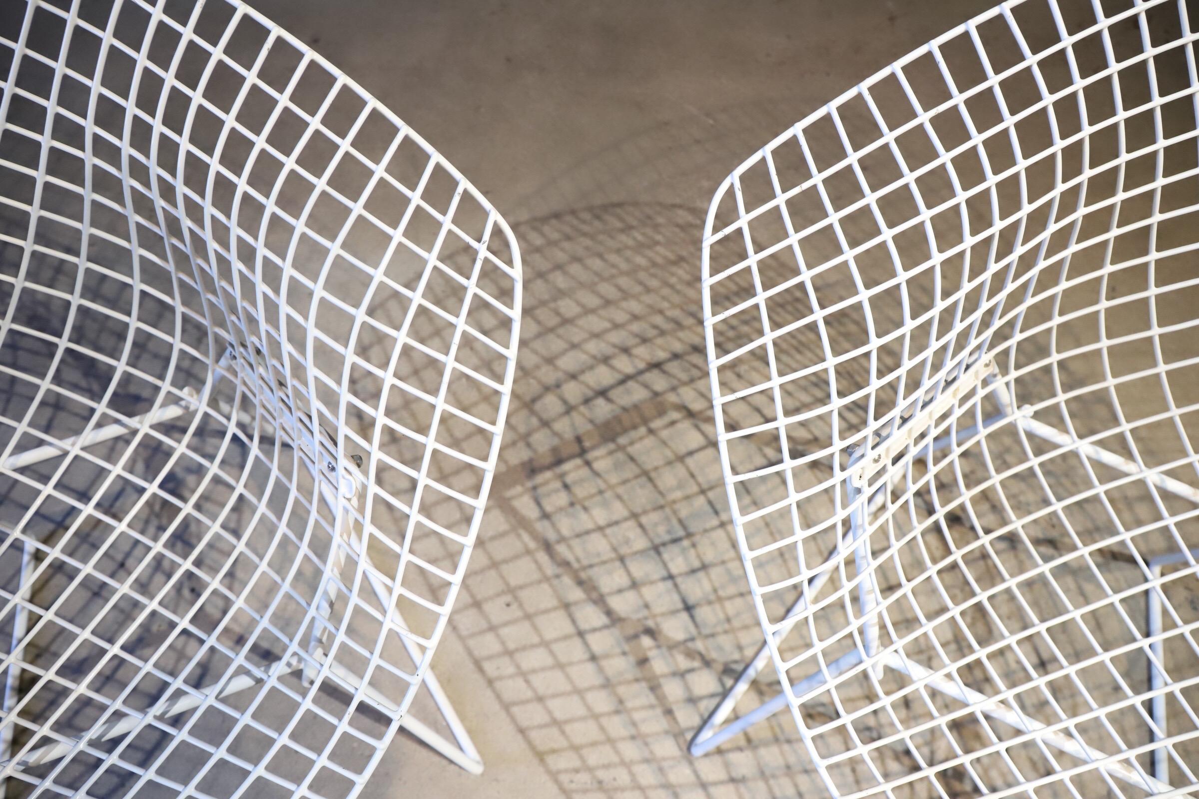Pair of Diamond Chairs by Harry Bertoia 10