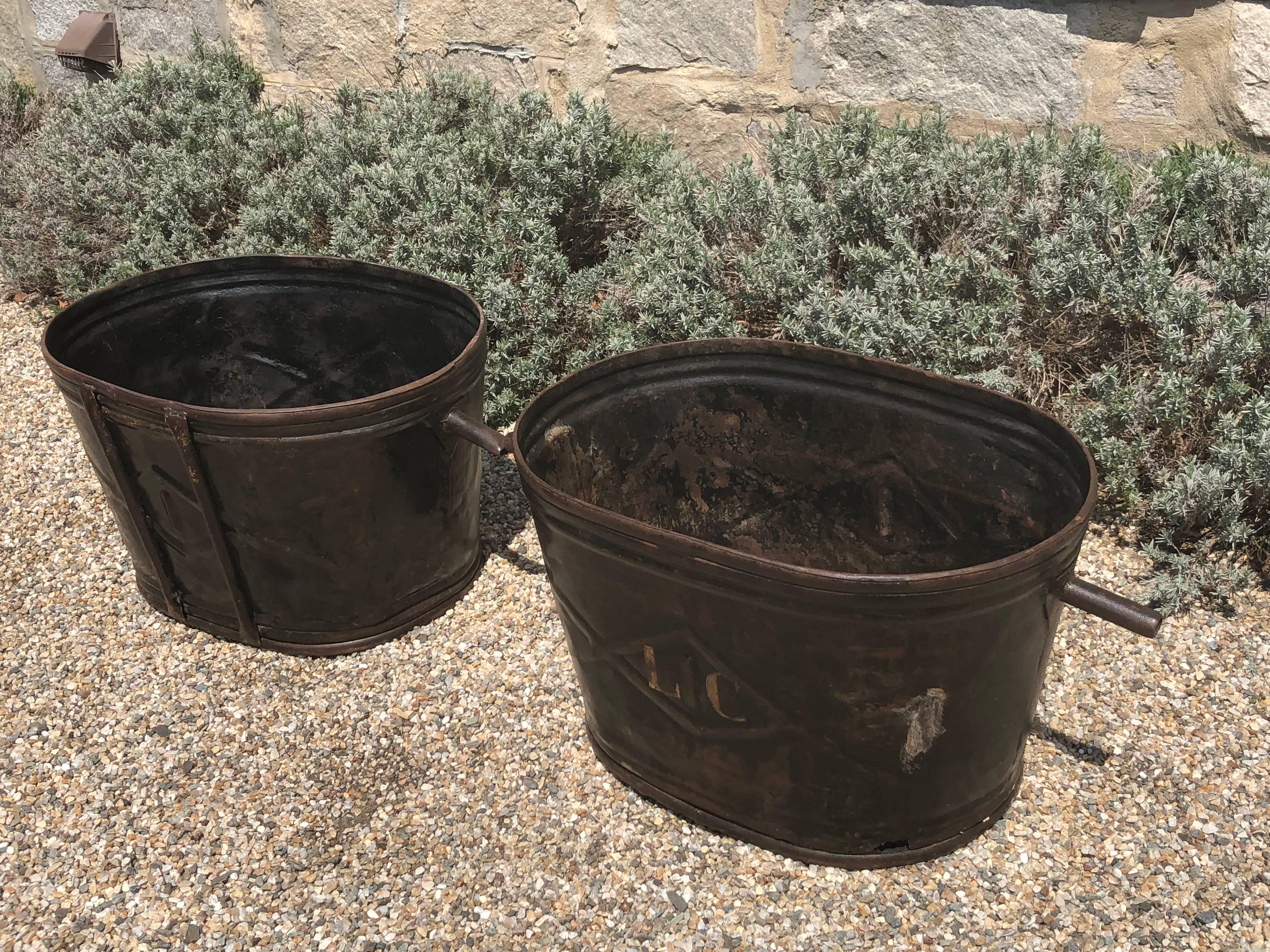 grape buckets