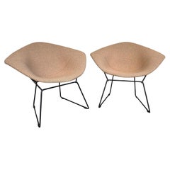 Pair of Diamond Lounge Chairs Model 421 by Harry Bertoia for Knoll International