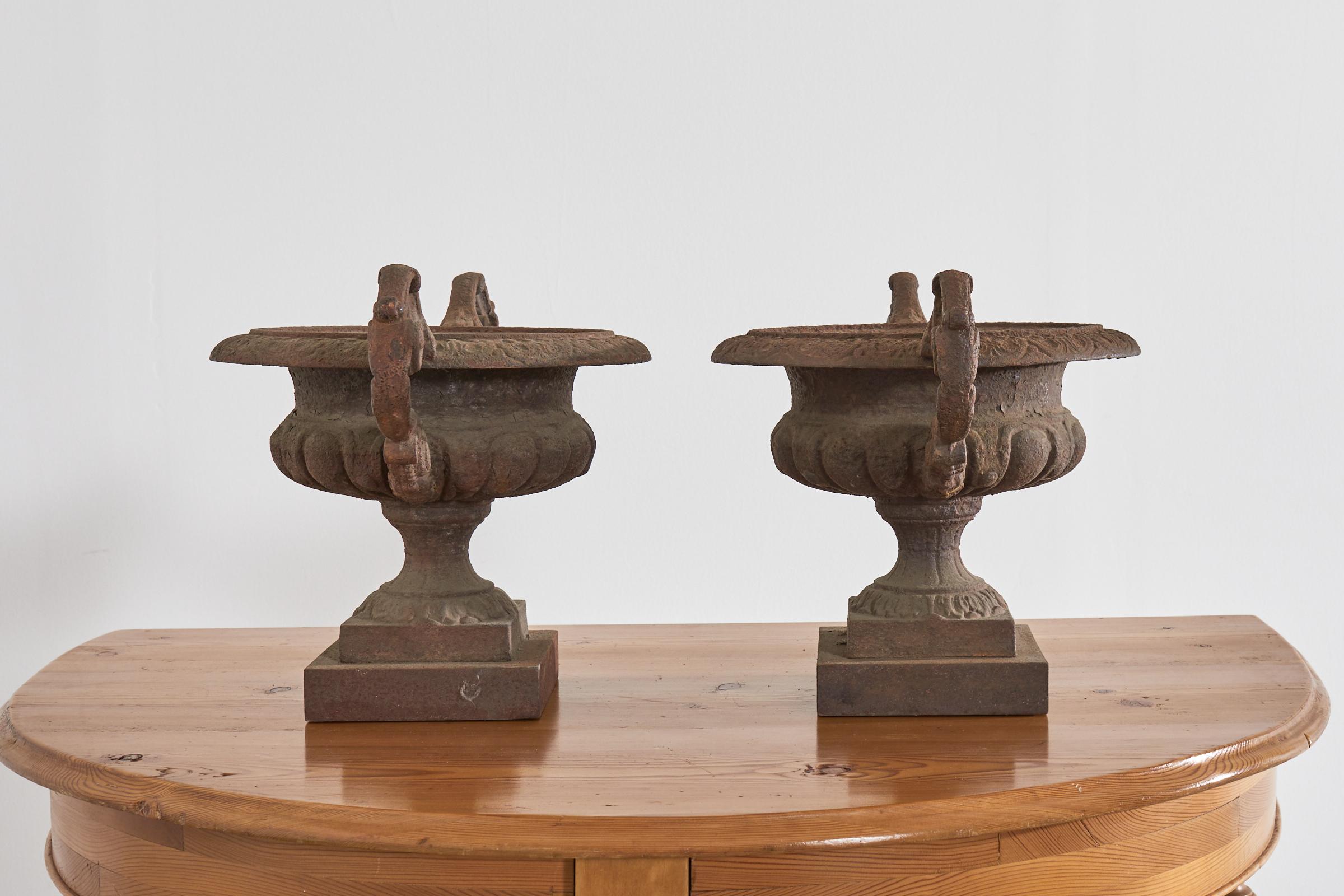 Pair of Diminutive English Cast Iron Urn Jardinaires For Sale 5