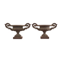 Pair of Diminutive English Cast Iron Urn Jardinaires