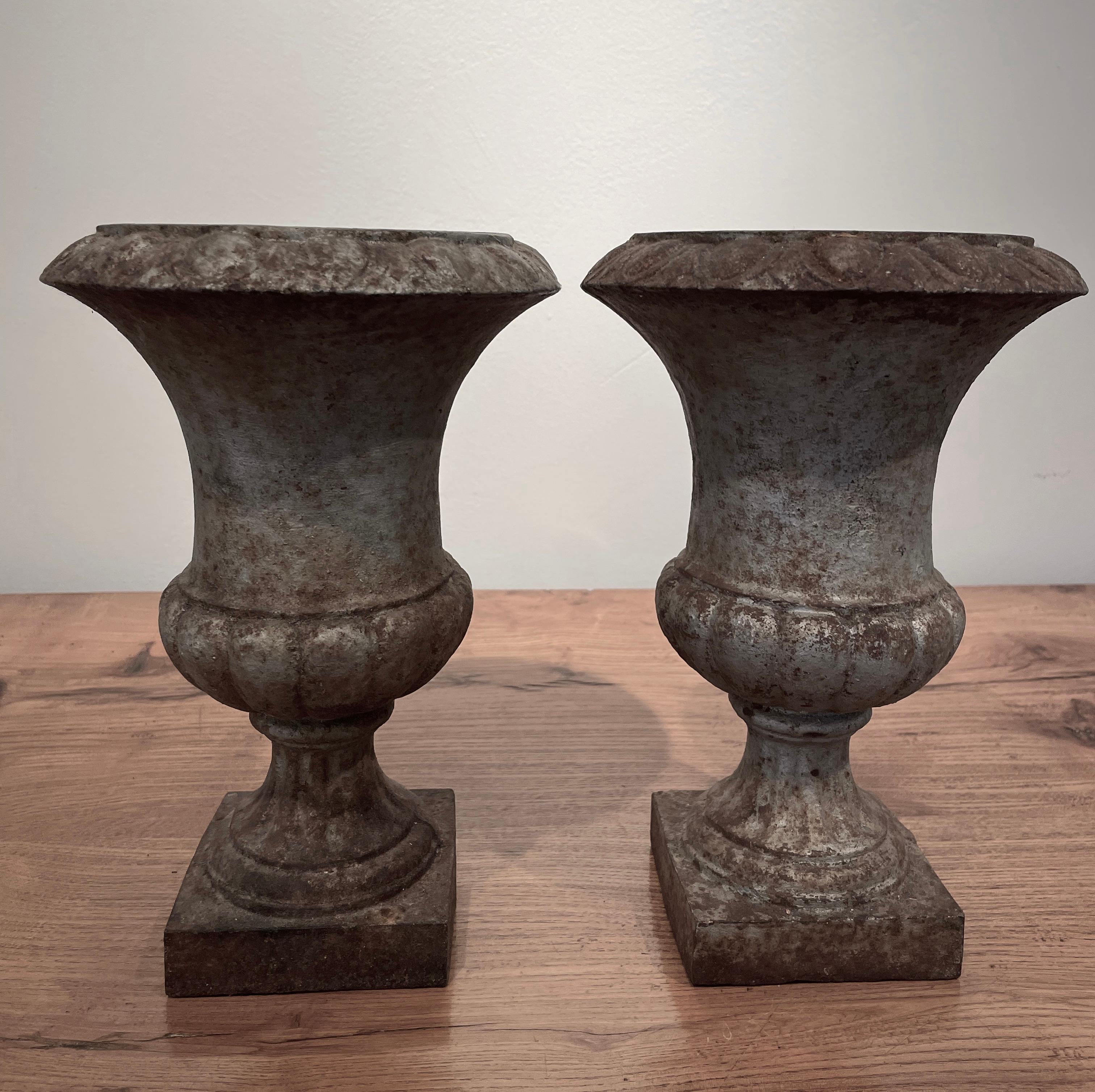 Pair of Diminutive French 19th Century Cast Iron Campana Urns In Good Condition In Woodbury, CT