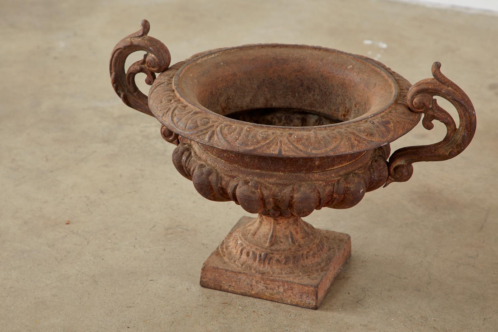 Pair of Diminutive French Cast Iron Garden Urns In Distressed Condition In Rio Vista, CA