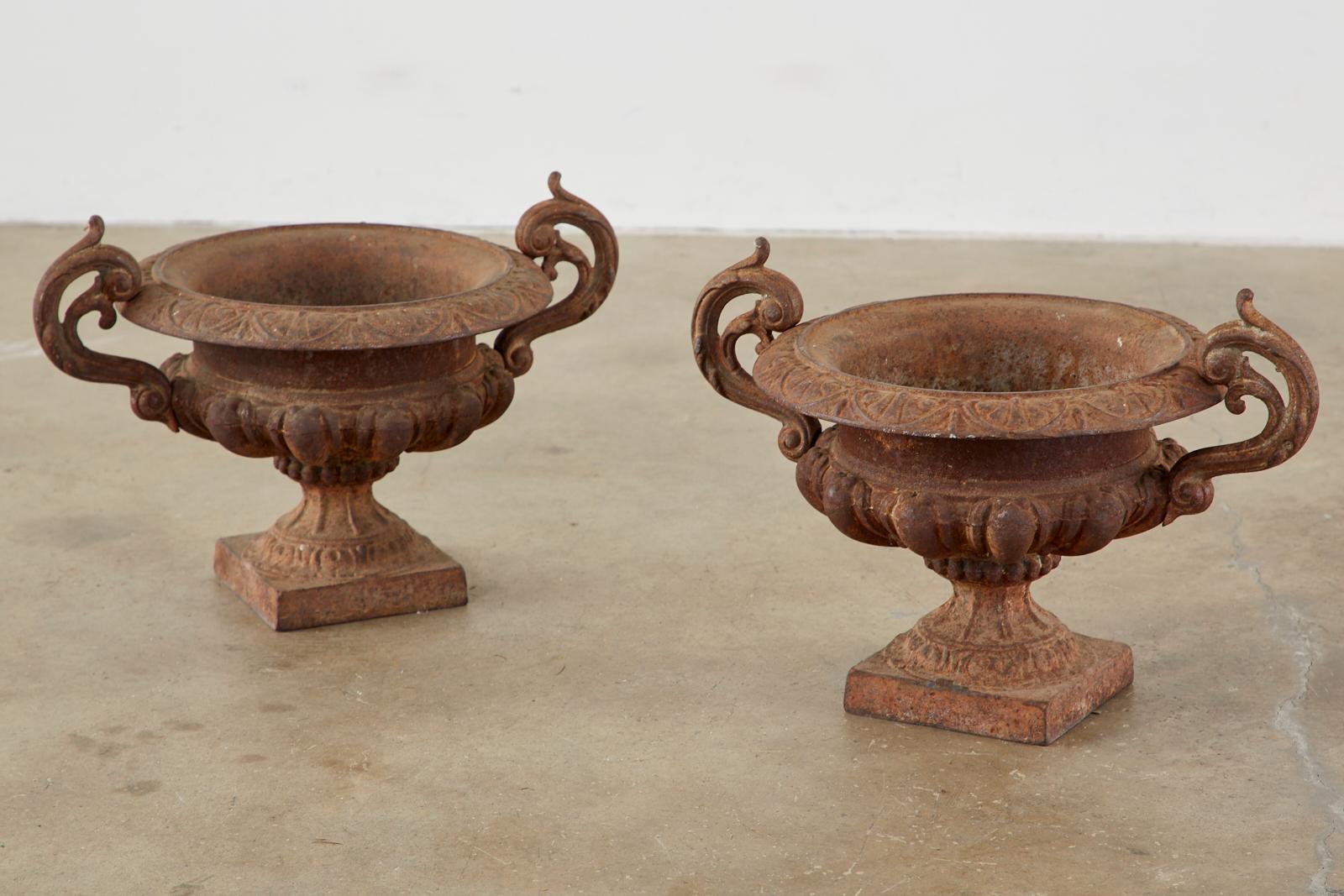 Pair of Diminutive French Cast Iron Garden Urns 3