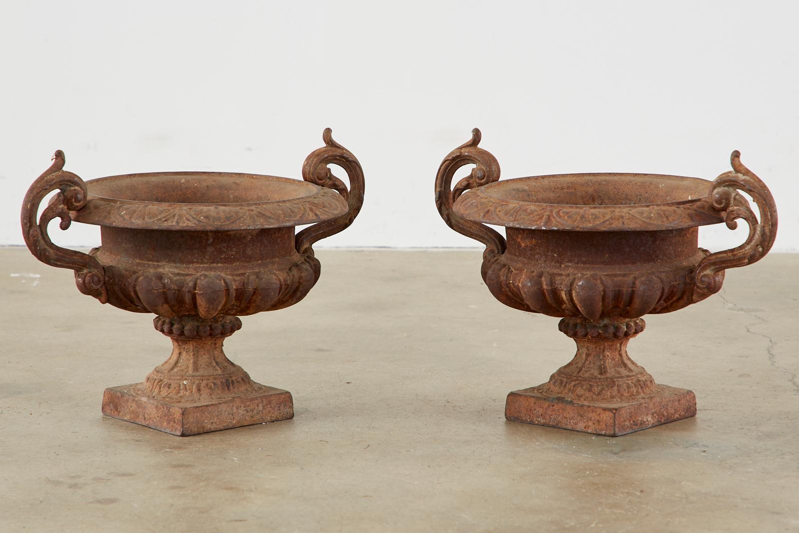 Pair of Diminutive French Cast Iron Garden Urns 4