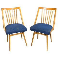 Pair of Dining Chairs by Antonín Šuman, 1960's, Czechoslovakia