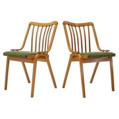 Pair of Dining Chairs Designed by Antonín Šuman, 1960s