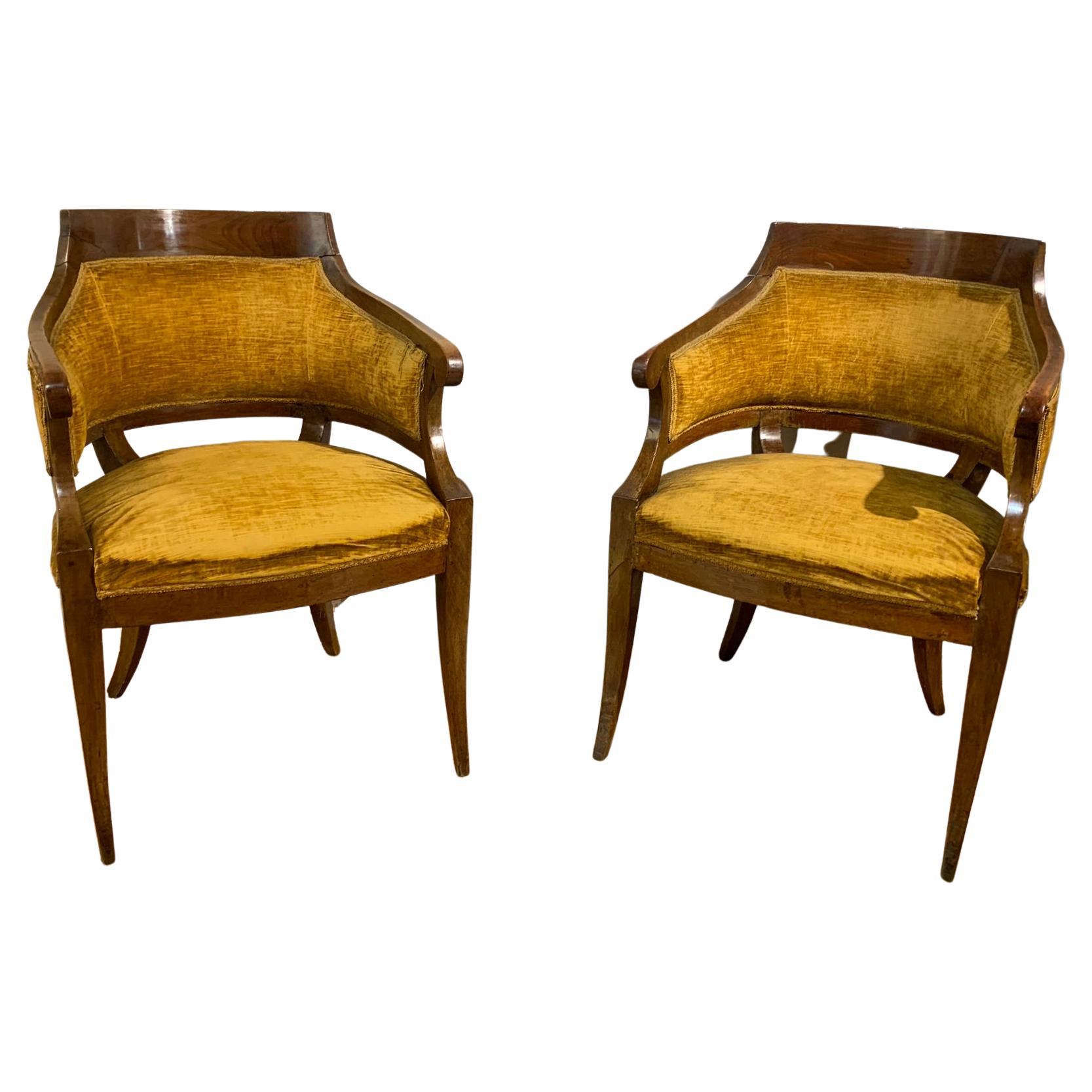 Pair of French Directoire Fauteuil Armchairs For Sale at 1stDibs