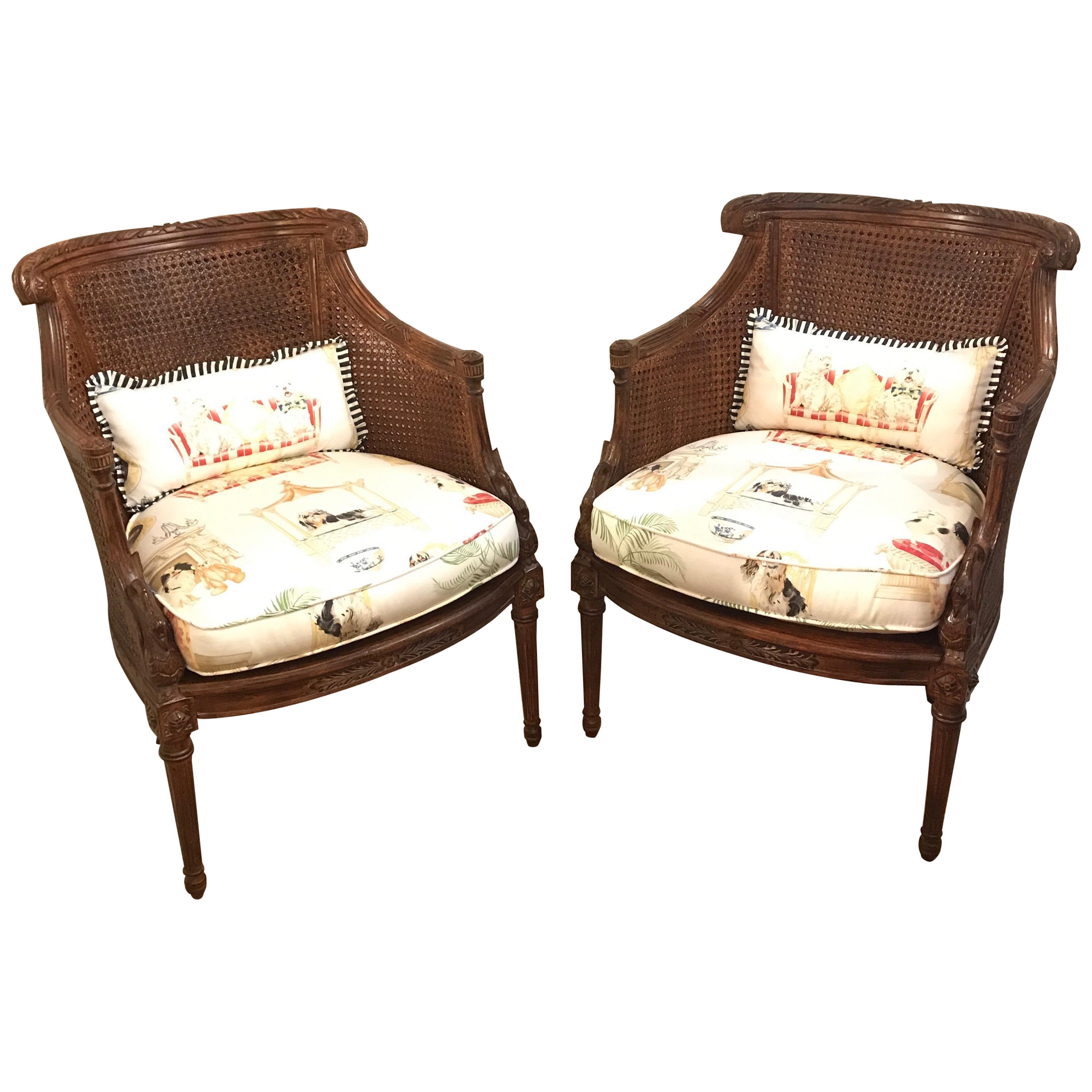 Pair of Directoire Style Caned Armchairs For Sale
