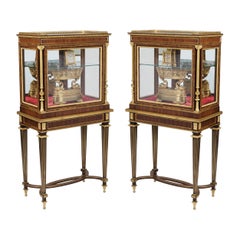 Pair of Display Cabinets in the Louis XVI Style