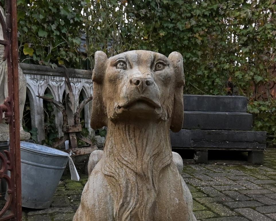 Belgian Pair of Dog Statues from the 20th Century