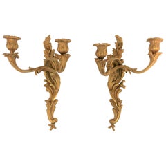 Pair of Dore Gold Gilt Bronze Rococo Candlestick Wall Sconces