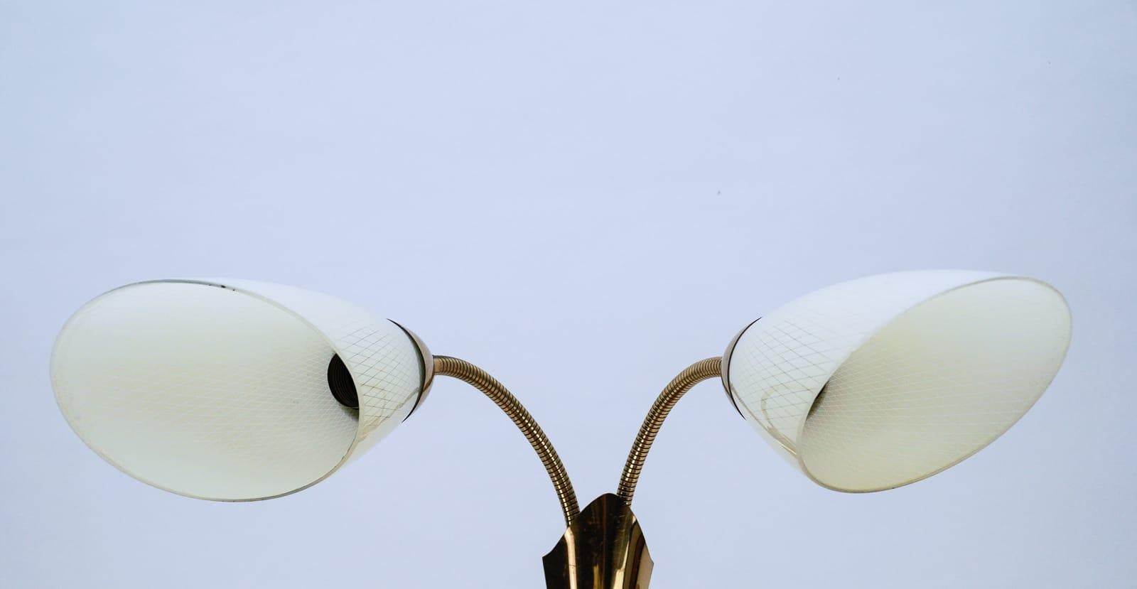 Pair of Double Arm Wall Lamps with Flexible Arms from the 1950s, Probably Italy For Sale 3