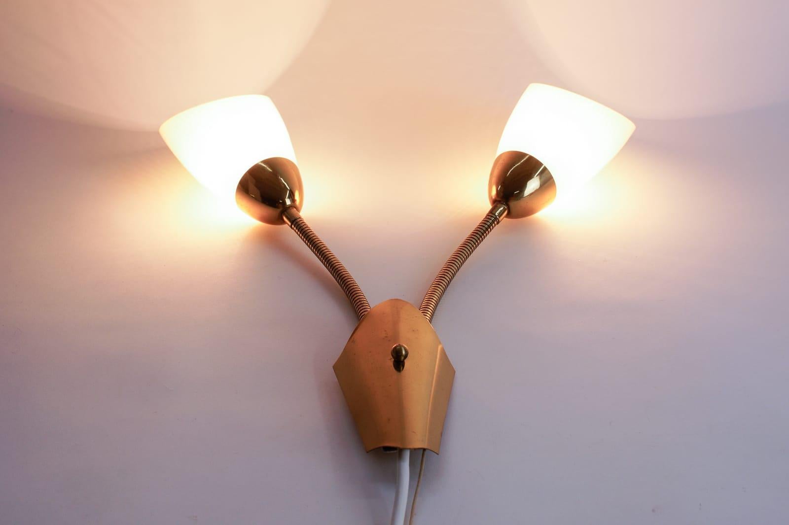 Mid-20th Century Pair of Double Arm Wall Lamps with Flexible Arms from the 1950s, Probably Italy For Sale