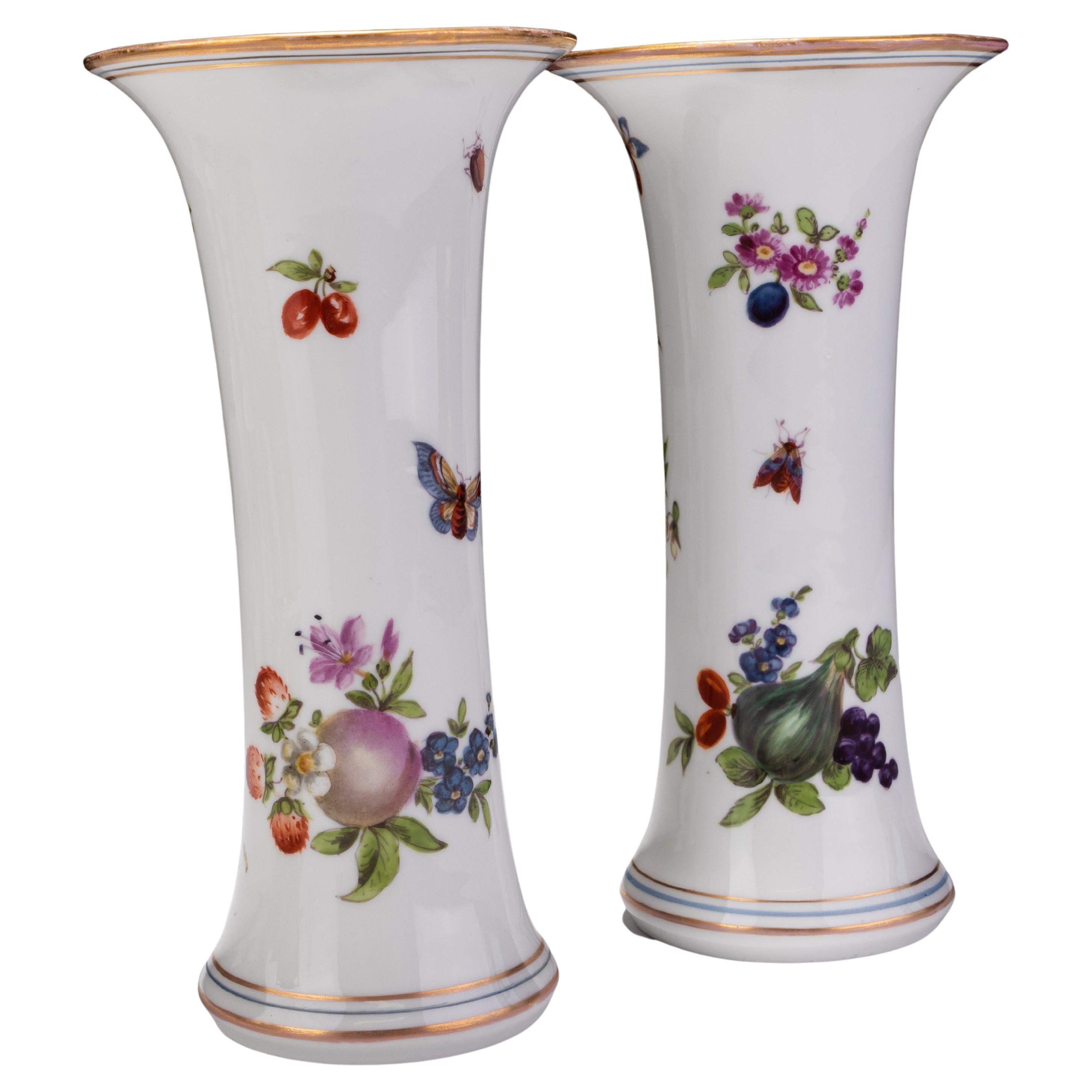 Pair of Dresden German Fine Porcelain Insect & Fruits Vases 19th Century 