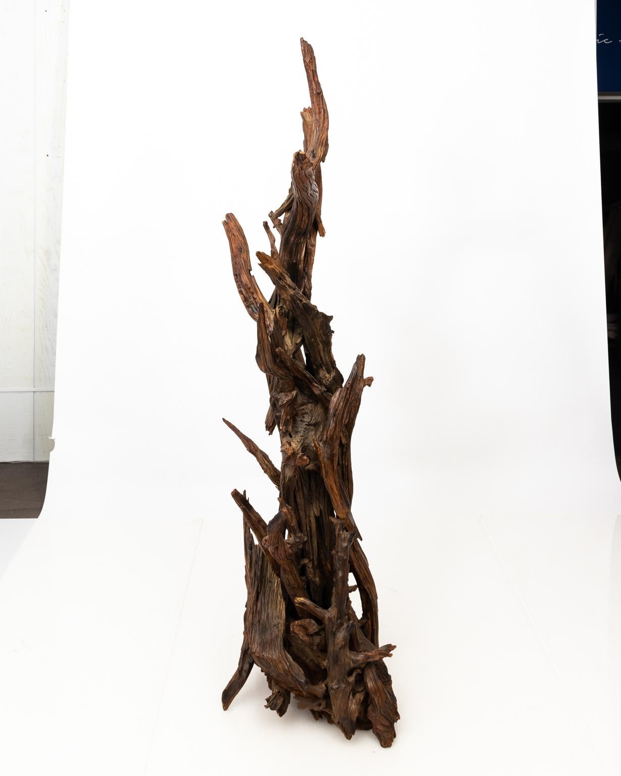 Pair of Driftwood Sculptures 11