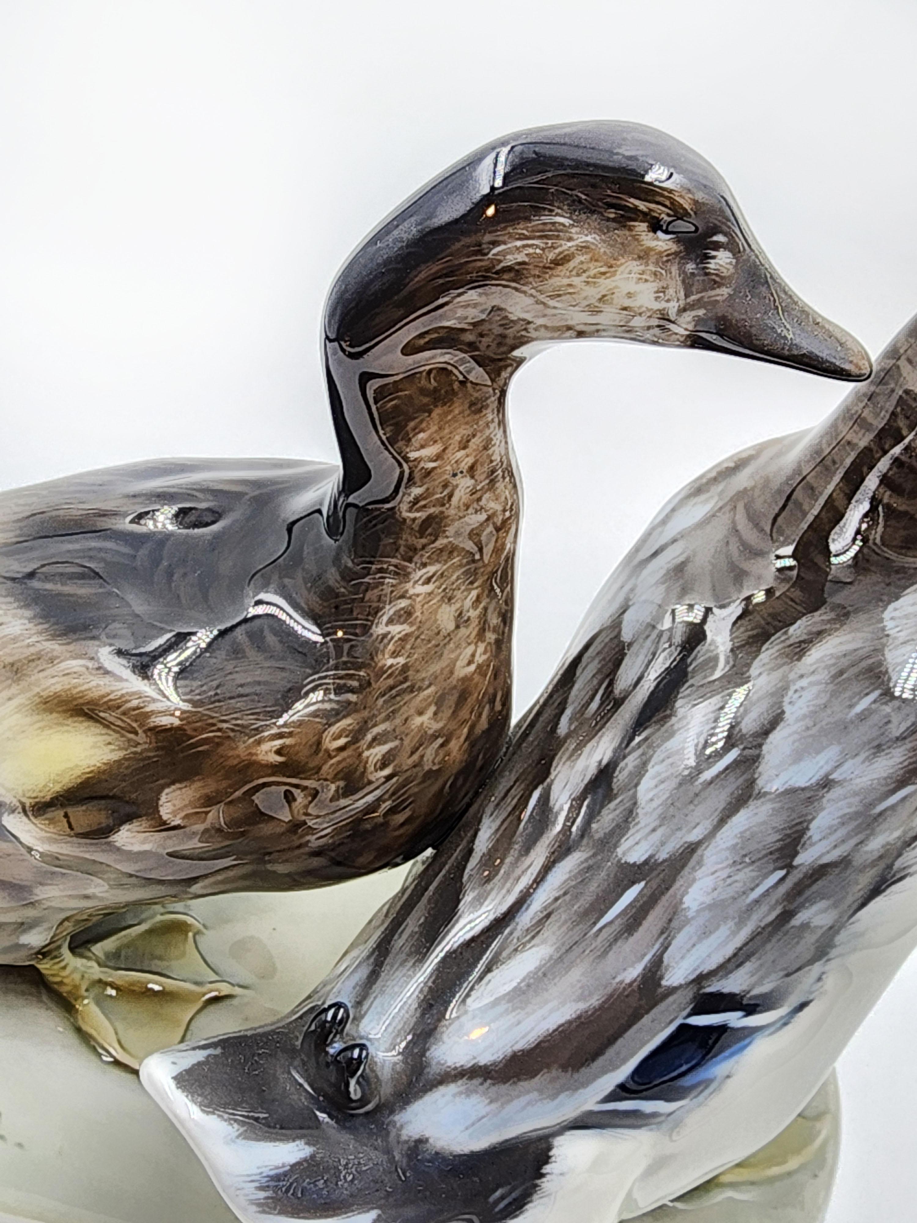 Pareja de patos sobre base de porcelana esmaltada de Rosenthal Porcelana en venta