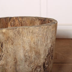 Pareja de maceteros de sicomoro desenterrados