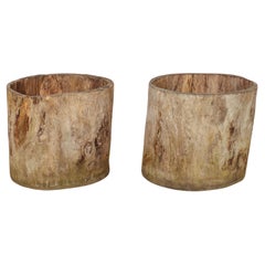 Pair of Dug Out Sycamore Planters