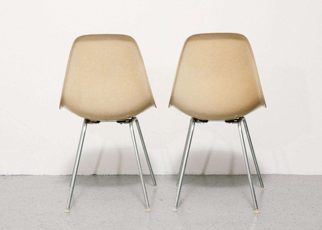 Pair of Eames for Herman Miller Side Chairs 2