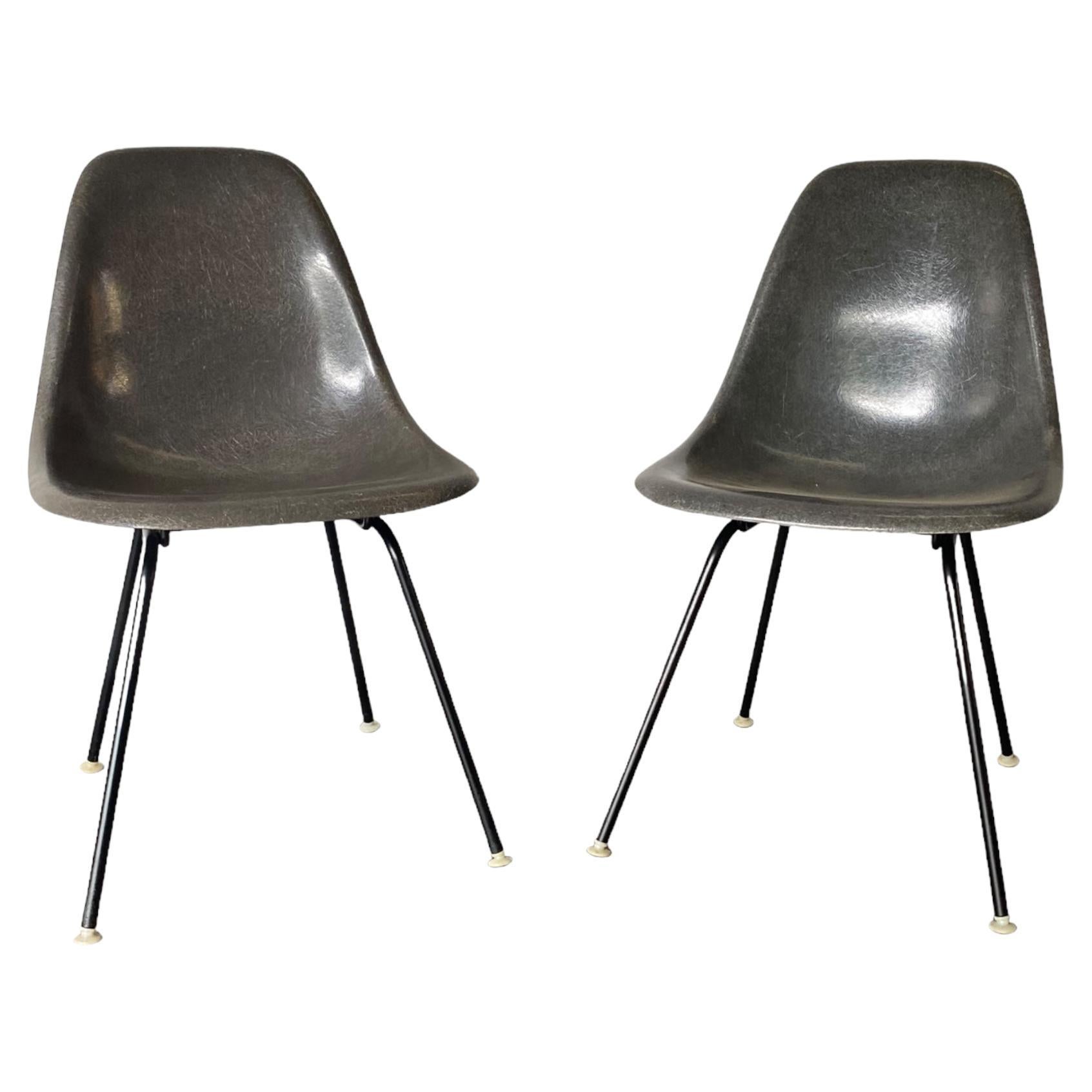 Coppia di sedie da pranzo Eames Herman Miller in grigio elefante