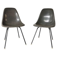 Coppia di sedie da pranzo Eames Herman Miller in grigio elefante